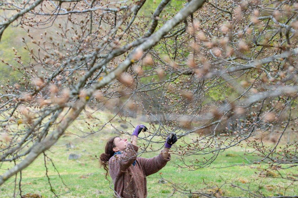 Lire la suite à propos de l’article Calendrier des plantes et produits