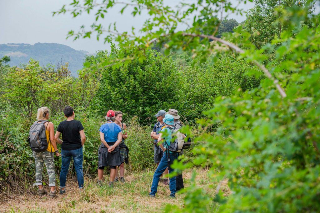 Lire la suite à propos de l’article Mes sorties d’accompagnement nature pour découvrir les plantes sauvages !