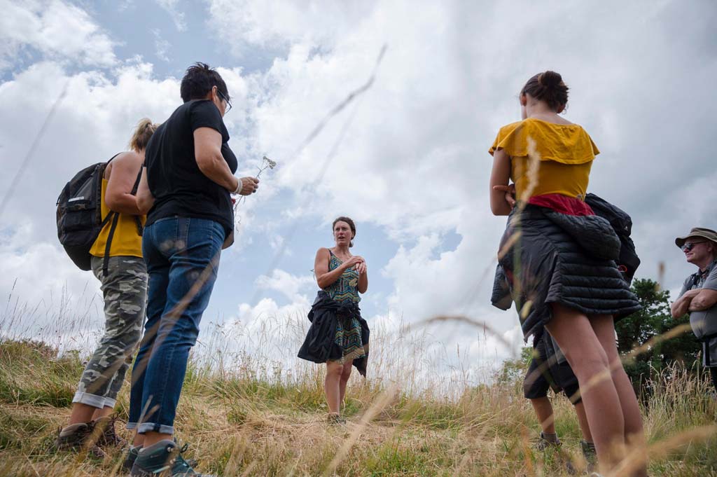 sortie nature plantes sauvages