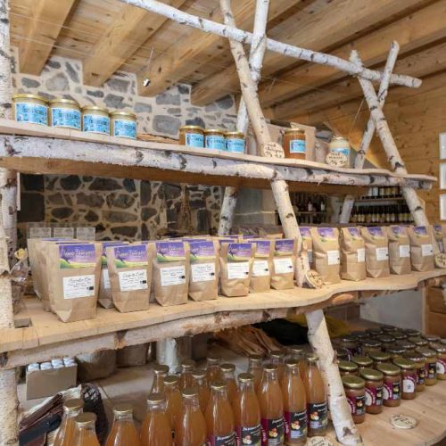 Les Fleurs Sauvages, producteur Bio Massif Preùière sériede photos sur les producteurs récolatants de BioMassif à Besse. les immages serviront en autre à illustrer leur site internet que je leru réalise.Rencontre avec Laure Barthomeuf qui a créé Les Fleurs Sauvages. Elle est ceuilleuse et recolteuse de fleurs et plantes sauvages qu'elle utilise une fois échées en confitures, tisanes, sirops... Avec son compagnon Florent, je les ia suivis dans le Massif du Sancy non loin de Valbelaix pour la récolte de fleurs sauvages. Une fois récoltées, les fleurs sont coupées en paillis et mises à sécher dans un séchoir. Ensuite, elles seront transformées en pomades et tisanes...Les produits de Laure sont distribués directement dans sa boutique à Valbelaix et bien-sûr dans la boutique BioMassif à Besse. C'est le premier reportage photo d'une série de 10 producteurs récoltants qui ont fondé BioMAssif. Une super rencontre avec des prodcuteurs impliqués et respectueux de la nature qui les entourent. Photos de Making off avec l'utilisation des flashs en extérieur.